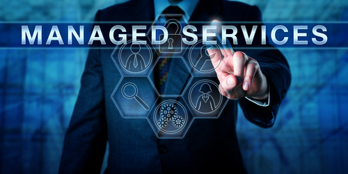 There are different managed IT services pricing models.